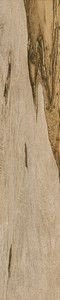Cerdomus Over Walnut Ret 20х100