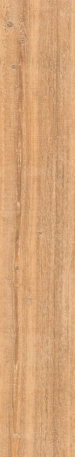 Cerdomus Opera Gold Rettificato 20x120