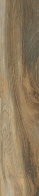 Cerdomus Savanna Honey 20X100