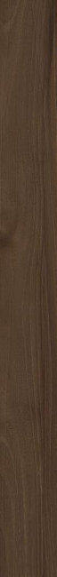 Cerdomus Savanna Coffee 10X100