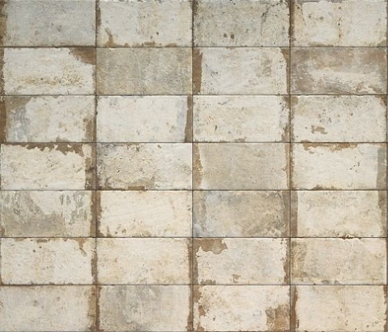 Cir Havana Sugar Cane 20x40