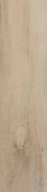 Cir & Serenissima I Lecci Leccio Gentile Rett 10x40H0.95