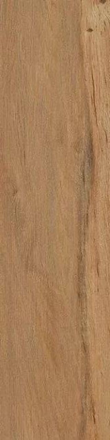 Cir & Serenissima I Lecci Leccio Oliato Rett 10x40H0.95