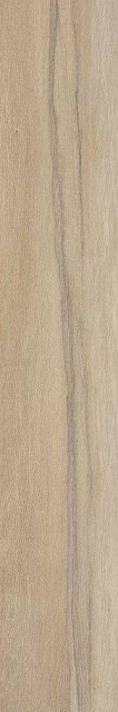 Cir & Serenissima I Lecci Leccio Gentile Rett 20x120H0.95