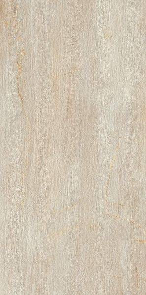 Serenissima Fossil Crema 60x120