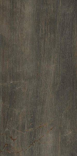 Serenissima Fossil Bruno 60x120