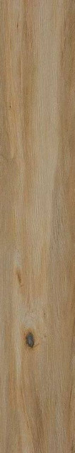 Cir & Serenissima I Lecci Leccio Classico Rett 20x120H0.95