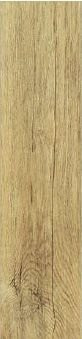 Cisa Xilema Castagno 20x80