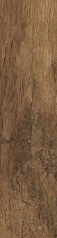 Cisa Xilema Ciliegio 20x80