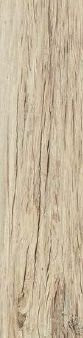 Cisa Xilema Larice 20x80