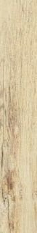 Cisa Xilema Frassino 13x80