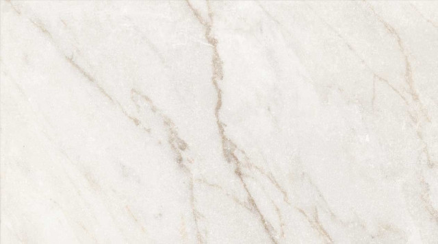 Colli Byron Calacatta Oro 60x30