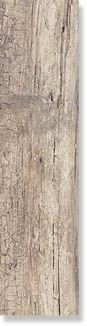 Dado Century Beige 20х120