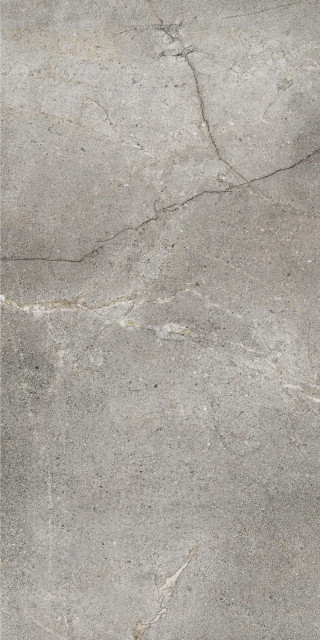 Dado Ceramica Mask Silver 60x120