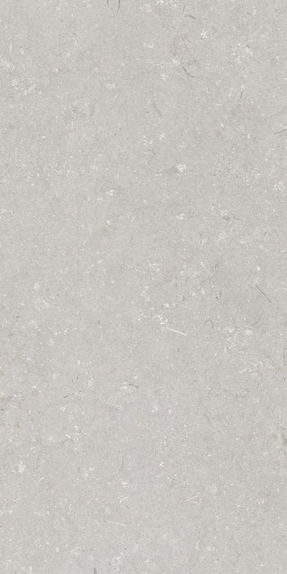 Dado Ceramica Shellstone Bianco 60x120