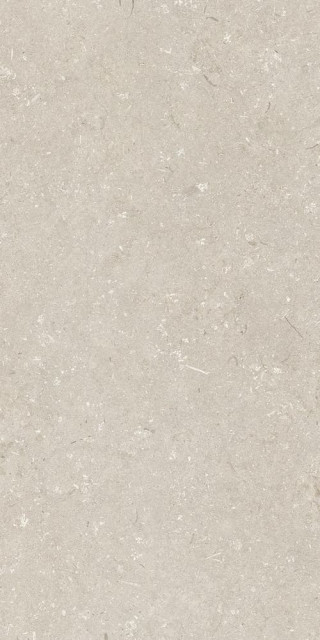 Dado Ceramica Shellstone Beige 60x120