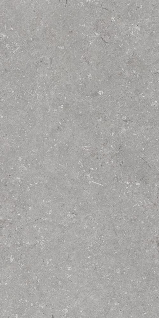 Dado Ceramica Shellstone Grigio 60x120