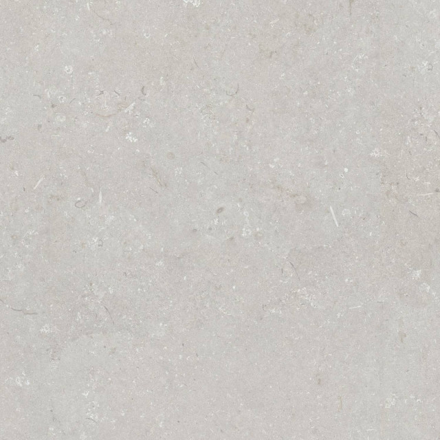 Dado Ceramica Shellstone Bianco Matt Rect 120x120H0.95