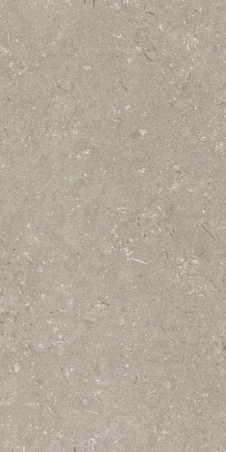 Dado Ceramica Shellstone Taupe 60x120