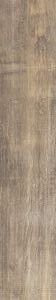 Vignoni Del Conca Beige 7.5x40