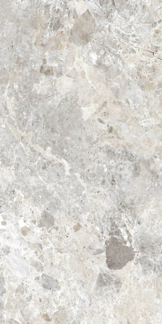 Due-G Breccia Paradiso Silver Levi 60x120H0.85