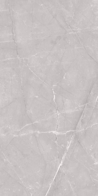 Edimax Velvet Grey 60x120