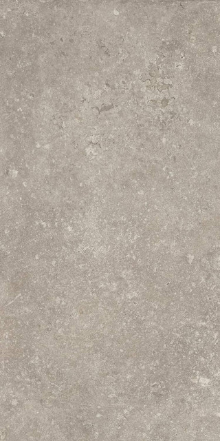 Emil Ceramica Everstone Grey Tecnica R11 60x120