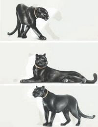 Emil Ceramica Luxury Instinct Panther 25x60