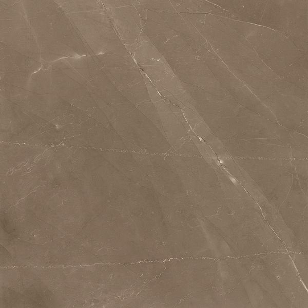 Emil Marmore Canova Marrone Lapp 59х59