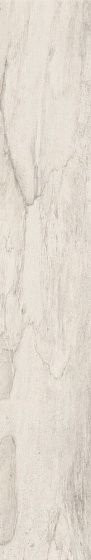 Emil Ceramica Petrified Tree White Bark 15х90