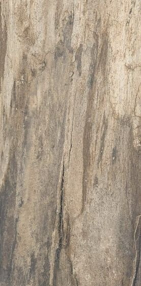 Emil Ceramica Petrified Tree Beige Bark 45х90