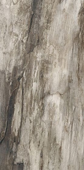 Emil Ceramica Petrified Tree Grey Bark 45х90