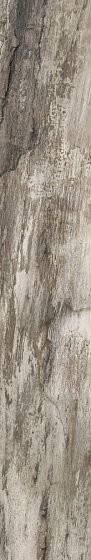 Emil Ceramica Petrified Tree Grey Bark 15х90