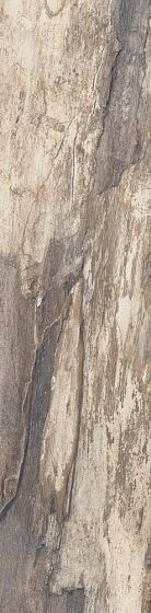 Emil Ceramica Petrified Tree Beige Bark 22,5х90