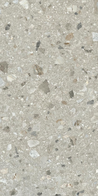 Ergon Lombarda Plus Cenere Mix 60x120
