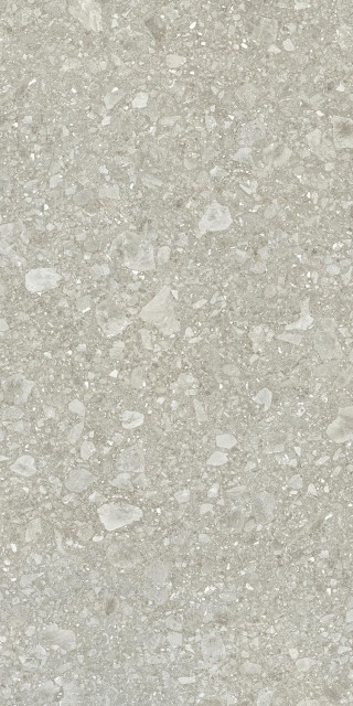 Ergon Lombarda Plus Cenere 60x120