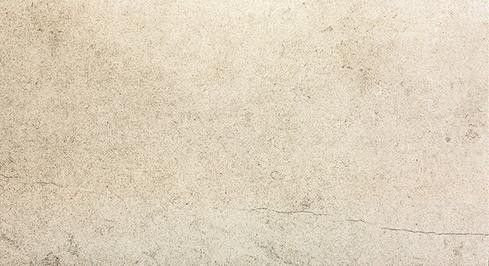 Fap Desert Beige 30,5х56