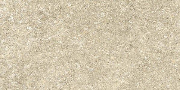 Fap Nord Natural Matt 30X60