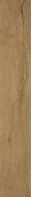 Fap Roots Gold Matt R9 20x120
