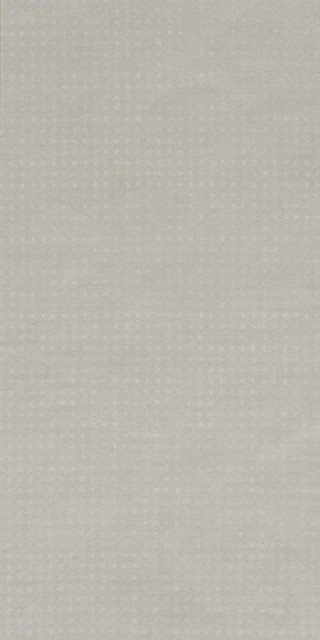 Fap Rooy Grey Matt 40х80