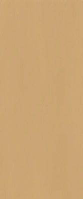 Fap Ceramiche True Color Caramel 50x120