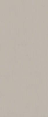 Fap Ceramiche True Color Fossil 50x120