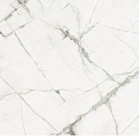 Fioranese Marmorea Intensa Bianco Mat 74x74