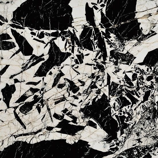 Fioranese Prestige Black Antique Lev 74x74