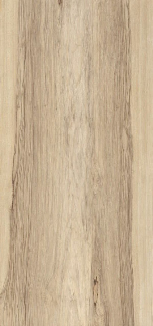 Fioranese Sfrido Frake Beige 60х120