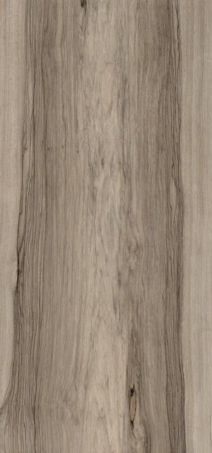 Fioranese Sfrido Frake Tortora 60х120