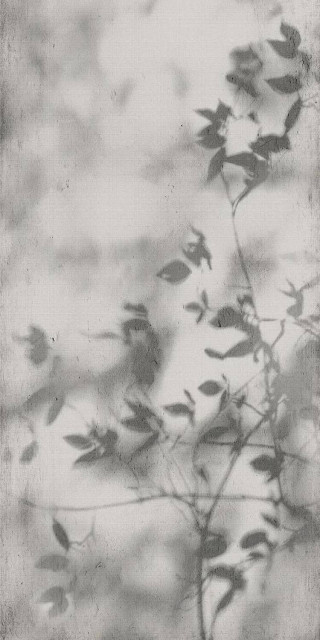 Flaviker Art Walls Shadow Nat R 60x120