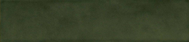 Florim SensiColore Bosco Glossy 5.7x23.2H0.85
