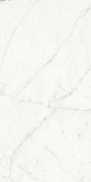FMG Select Bianco Venato Extra 60x120