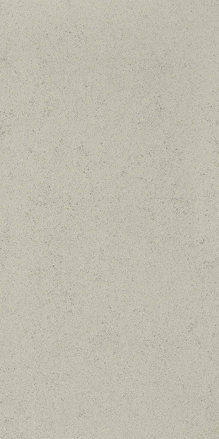 FMG TerraPura Argento Natural Plus 60x120H1